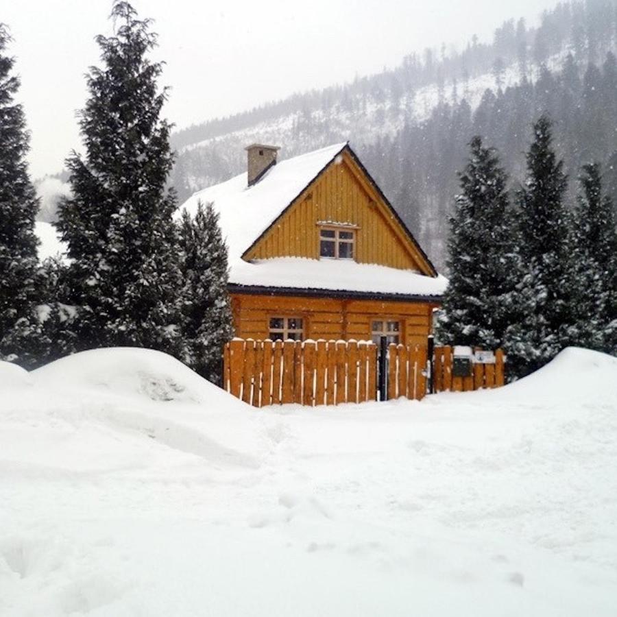Sno House Villa Szczyrk Exterior foto